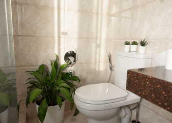 Luxury Toilet Hire